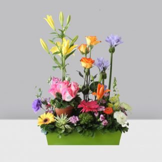 Jardín de felicidad