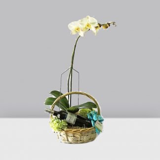 Orquídea Para Mamá