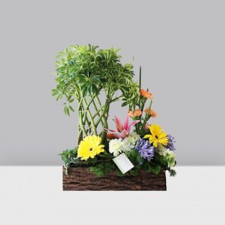 Planta con Jardín Variado