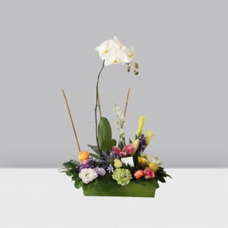 Floral con Orquídea