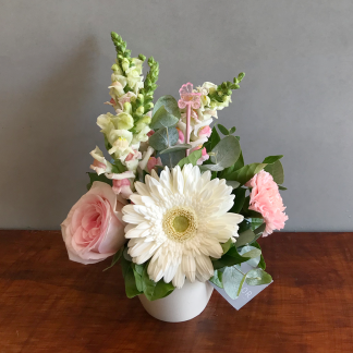 Lite Bienvenida Arreglo