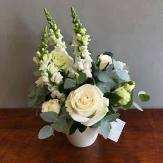 Lite Pésame Arreglo