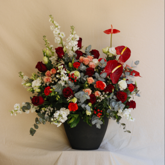 Always & Forever - SV06