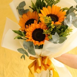 Nudo de Tres Girasoles